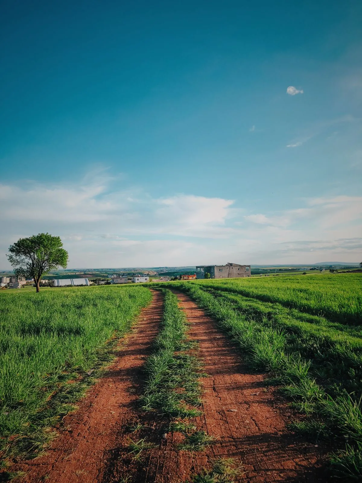 1 Kanal Residential Plot Phase 1 plot for sale in Wapda Town, street approach