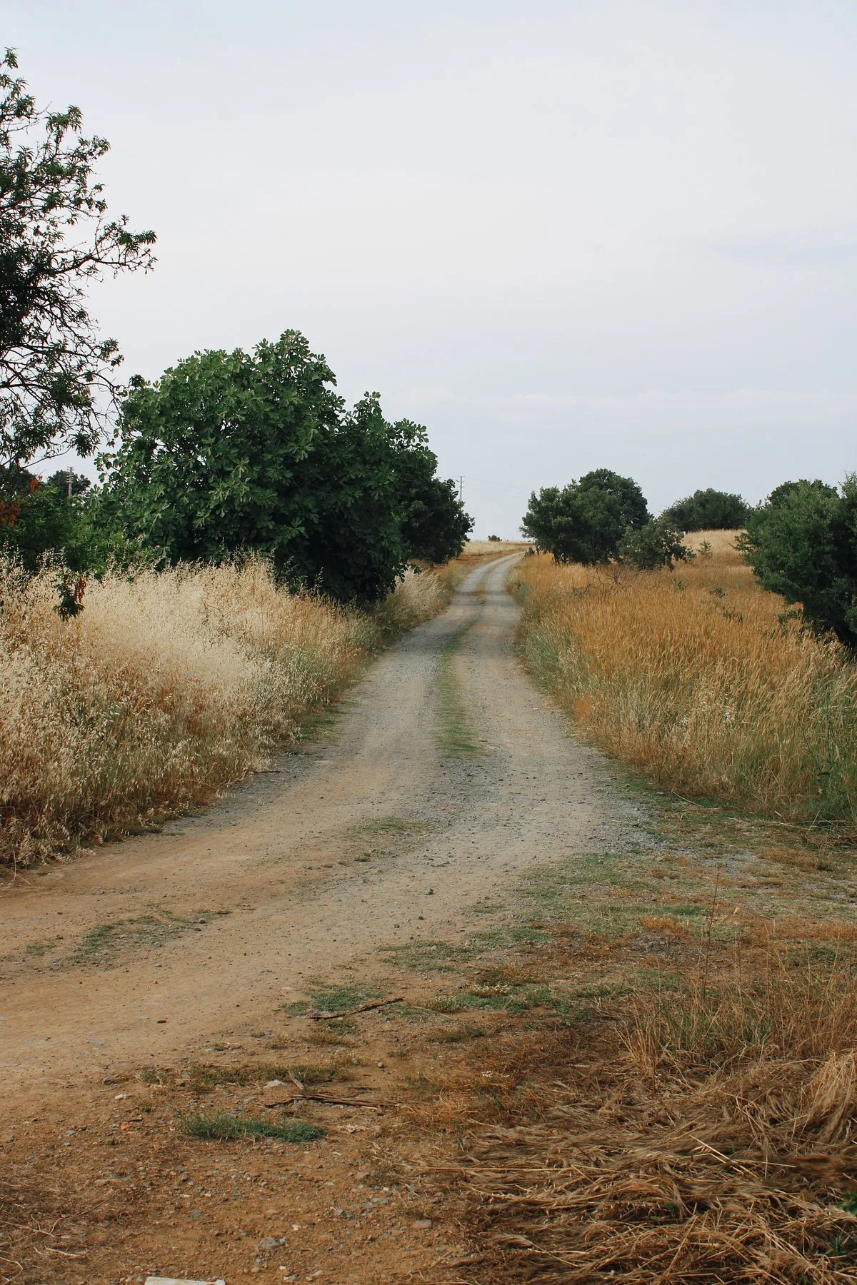 10 Marla Residential Plot for sale in Wapda Town, street approach