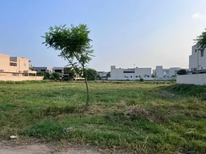 1 Kanal single storey house for sale in Wapda Town at plot price